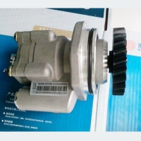 Power Steering Pump 61263003029（1）